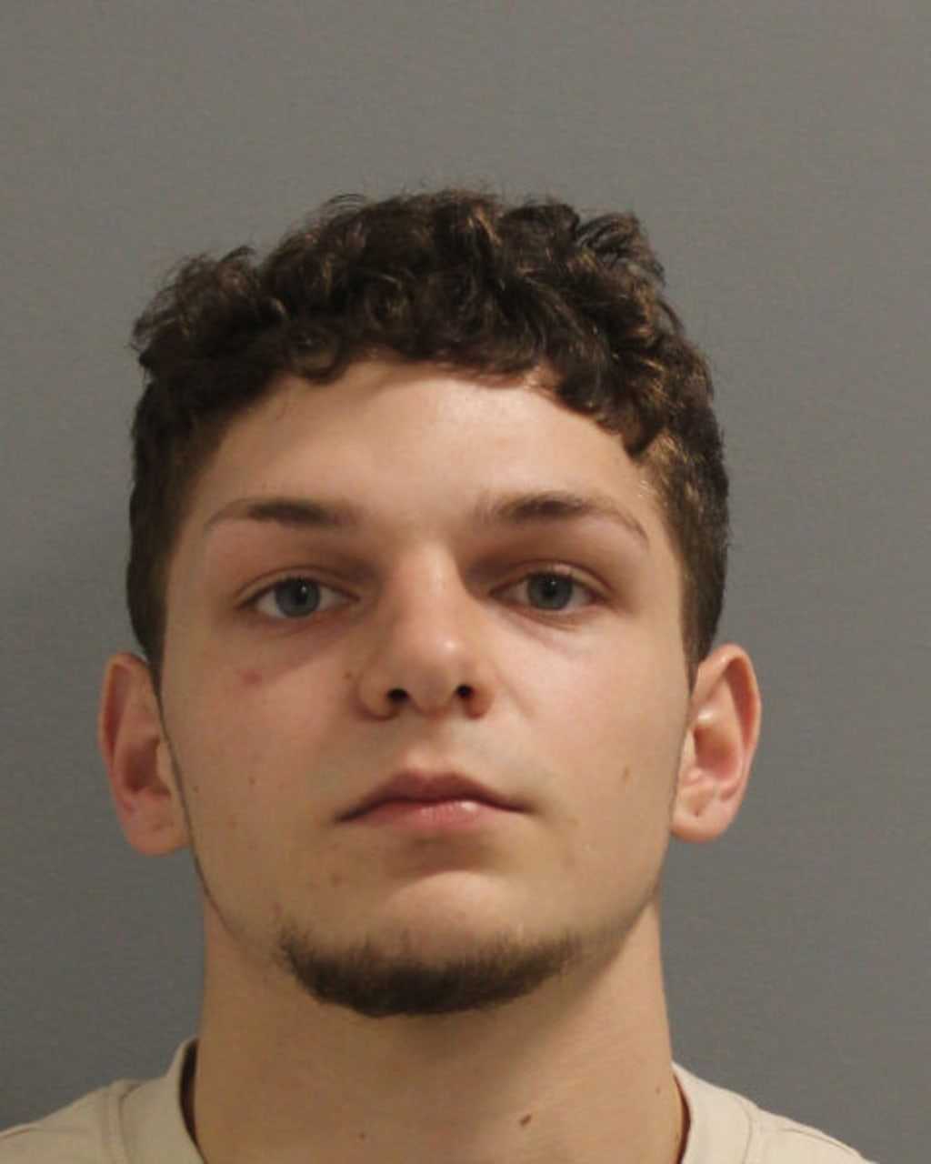 Attempted Robbery: Levittown Teen Punches Victim In Face, Police Say