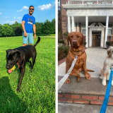 NYC Teacher-Turned-Dog-Walker Living In Monmouth County ‘Puts The Pups First’ — And It Pays