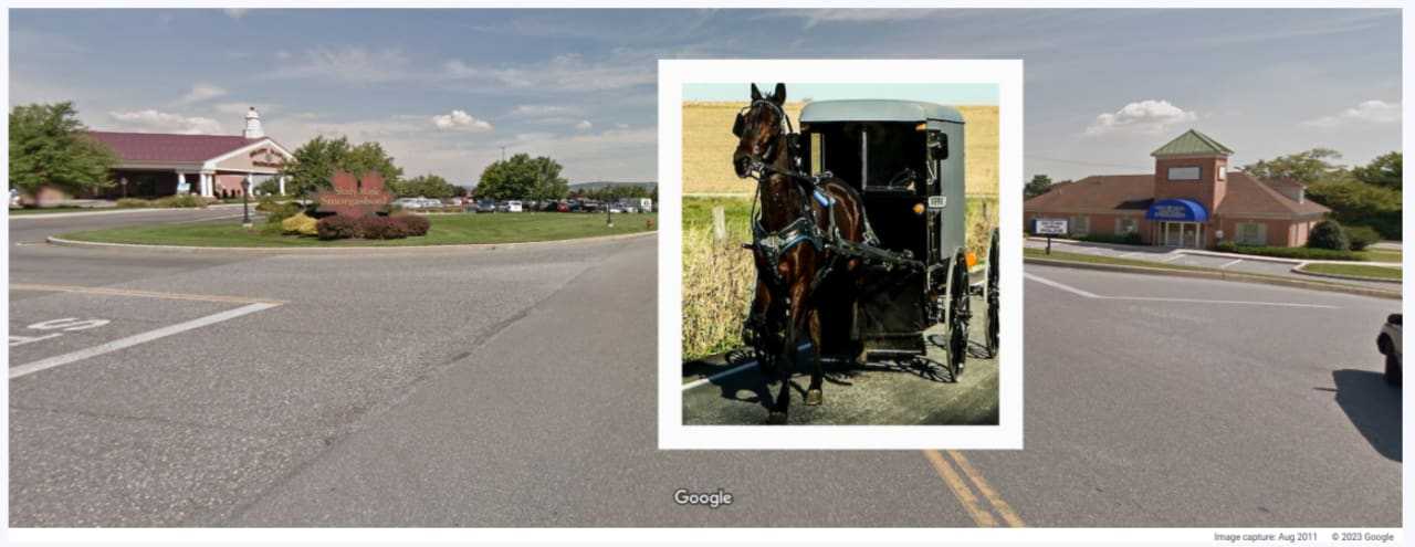 Horse-Buggy Struck By Drunk Woman Across From Police Station In PA, Authorities Say