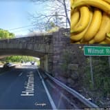 Monkey Business: Truck Carrying Bananas Slams Into Overpass On Parkway In Westchester