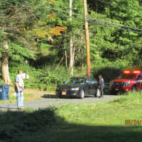 <p>Officers and fire on scene.</p>
