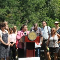 <p>Legislator Catherine Borgia is joined by Legislators MaryJane Shimsky and Alan Cole at a press conference with local community members .</p>