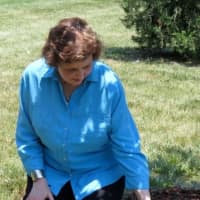 <p>Amy Losak looks at the tree plaque featuring a haiku written by her late mother.</p>