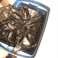 <p>The garbage bag Rue was found in.</p>
