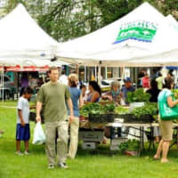 <p>Military veterans with a craving for fresh produce and community fun are welcome to The Danbury Farmers&#x27; Market.</p>