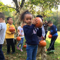 <p> At Woodside Elementary in Peekskill, Mrs. Montoya’s Transitional Kindergarten class and Mrs. Rosa’s Transitional Grade 1 class celebrated the season with a Harvest Fest at school.</p>