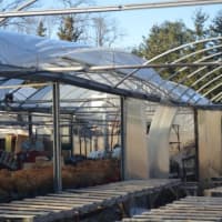 <p>Joe Gingrande new greenhouse collapsed under the weight of all the snow from the recent Nor&#x27;easter.</p>