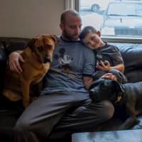 <p>Steve Quilliam hangs out in his Fair Lawn home with his son, Cooper, and some of the dogs in his pack.</p>