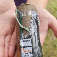 <p>A goose was found with a firework attached to its neck at a park in Baldwin.</p>