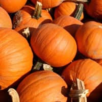 <p>Unplug and enjoy fall activities at Pumpkinfest 2016 in Ho-Ho-Kus.</p>