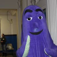 <p>OLI the Octopus has become the face of children&#x27;s literacy in Mount Vernon.</p>
