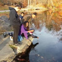 <p>The Peekskill Middle School Environmental Club takes sample of water from Lake Mitchell.</p>