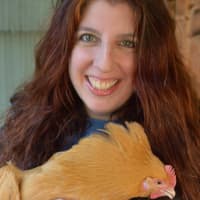 <p>Larissa Symbouras of Franklin Lakes manages chickens on her property.</p>