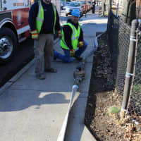 <p>Members of the New Rochelle Fire Department were on hand at the YMCA to lend a hand and fill the pool after nearly a year of renovations.</p>