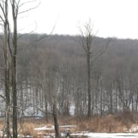 <p>The newly renovated Great Hollow Nature Preserve will hold its grand opening on Sunday.</p>