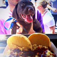 <p>A hungry customer looking for a taste of Oink &amp; Moo BBQ. Oink &amp; Moo has a barbecue restaurant in Florham Park as well as food trucks that hit .</p>