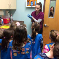 <p>Daisy Troop 96912 girls listen as they learn about how Franklin Lakes Animal Hospital treats wildlife.</p>