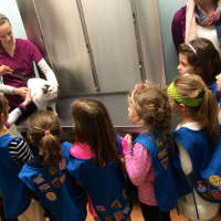 <p>Girls from the Daisy Troop learn about wellness visits.</p>