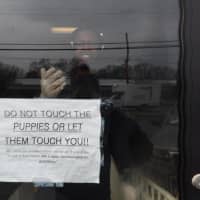 <p>At Just Pups in Paramus early Monday.</p>