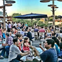 <p>The patio at bartaco in Port Chester.</p>