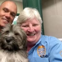 <p>Paramus Mayor Richard LaBarbiera and a Tyco animal control officer with a Wheaten Terrier who was among the 67 puppies found in a van behind Just Pups Paramus.</p>