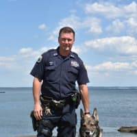 <p>Chase will enter retirement and remain with New Rochelle Police Officer Craig Wolf.</p>