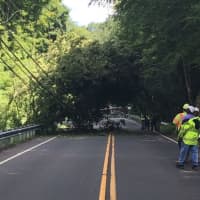 <p>The tree that fell across Newtown Turnpike also took out power lines and utility poles.</p>