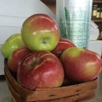 <p>Apples from Stuart&#x27;s Fruit Farm in Granite Springs.</p>