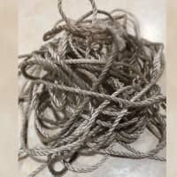 <p>&quot;It was a very thin gauge of twine, about 2mm thick.&quot;</p>