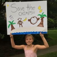 <p>Willow wants you to save the chimps.</p>