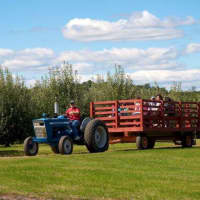 <p>Farmers Charlie and Phil offer $3 wagon rides on weekends at Blue Jay Orchards in Bethel.</p>