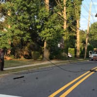 <p>The driver told Daily Voice he was handling a paving job a few blocks away when someone inadvertently sat on the lever that lifted the truck&#x27;s open bed.</p>