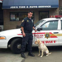 <p>K9 Officer Gunner, who was an explosives expert, recently died.</p>