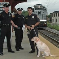 <p>Rockland County Sheriff&#x27;s Department retired K9 Gunner recently passed away at the age of 13.</p>