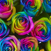 <p>Flowers brighten one&#x27;s day - and Graceland Florist in Mount Vernon is all about helping you pick the right buds.</p>