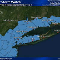 <p>Areas where a Winter Storm Watch is in effect from 12 a.m. Monday, Feb. 1 to 6 a.m. Tuesday, Feb. 2.</p>