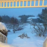 <p>A backyard in Briarcliff following the snowstorm.</p>