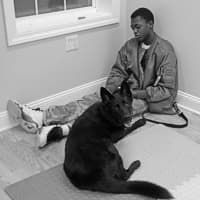 <p>A student at Children&#x27;s Village helps train a dog from Paw&#x27;s Crossed.</p>