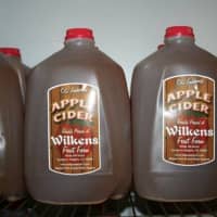 <p>Apple cider at Wilkins Fruit and Fir Farm in Yorktown Heights.</p>