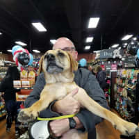 <p>A man brings his do to the recent opening of a Pet Valu store in Pennsylvania. The chain opened its 300th store in New Canaan.</p>