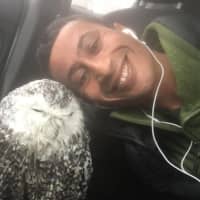 <p>Peekskill wildlife photographer Anwar Alomaisi and the snowy owl he rescued Saturday morning in Connecticut.</p>