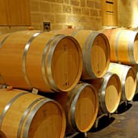 Wineology Offers International Wine Breakdown