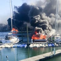 <p>New Rochelle firefighters responded to a scary scene on New Year&#x27;s Day at Wright Island Marina.</p>