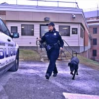 <p>VA police Sgt. Josie Graham and Hunter help veterans heal at several health care centers and two hospitals in the area.</p>