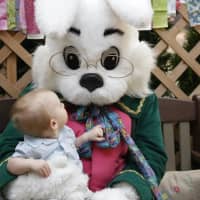 <p>A friend of the Easter bunny who appeared to be sleeping at the Willowbrook Mall said she was dehydrated, while a mall spokeswoman said she was playing a game.</p>