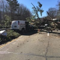 <p>A tree fell on a vehicle on the Merritt Parkway southbound near the Derby/Orange Exit 58. Injuries were reported, and extrication was needed.</p>