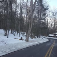 <p>The proposed entrance to the Weston Dog Park is on a dangerous blind curve off Davis Hill Road.</p>
