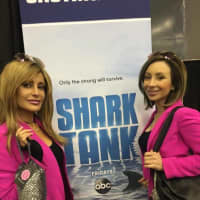 <p>Cindy, left, and Laura Massari auditioned for Shark Tank.</p>