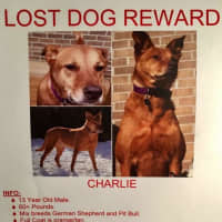 <p>Charlie has been missing in Yonkers for more than two months. He can be anywhere, according to his family.</p>