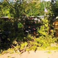 <p>Police and firefighters work to remove a tree from a car that killed an 80-year-old Nyack man.</p>